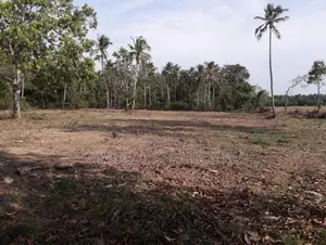 සුන්දර වටපිටාවක පිහිටි ඉඩමක් මහව
