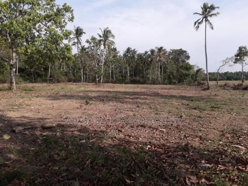 සුන්දර වටපිටාවක පිහිටි ඉඩමක් මහව