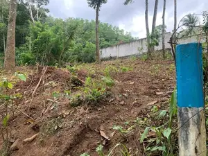 Lands for salae in Thannekumbura