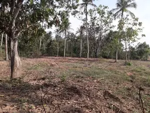 සුන්දර වටපිටාවක පිහිටි ඉඩමක් මහව