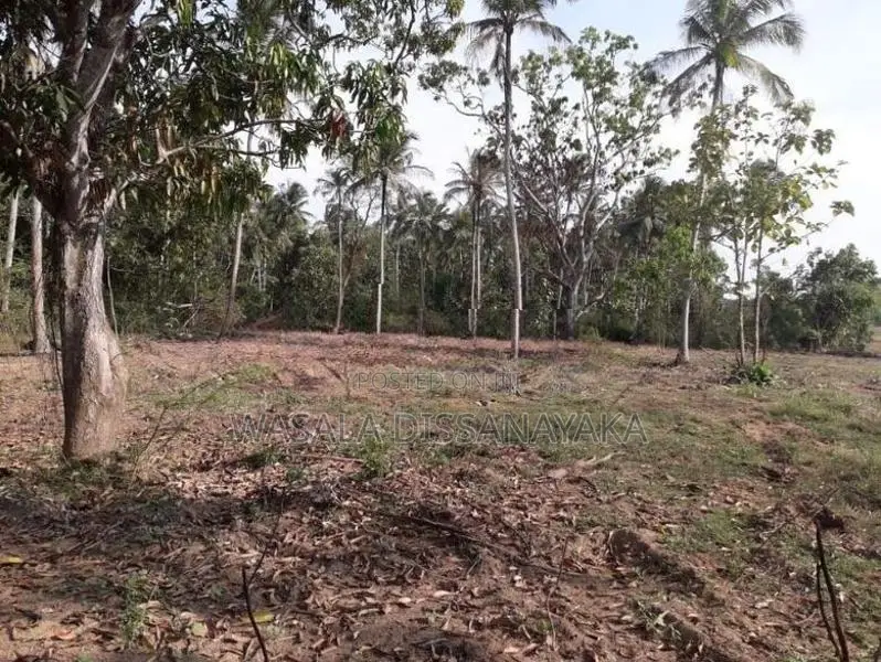 සුන්දර වටපිටාවක පිහිටි ඉඩමක් මහව