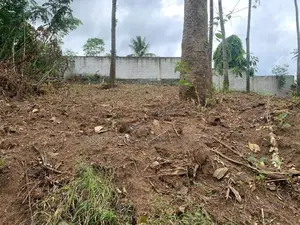 Lands for salae in Thannekumbura