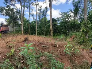 Lands for salae in Thannekumbura