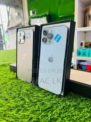 Apple iPhone 13 Pro Max 256GB (Used)