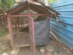 Dog Cage