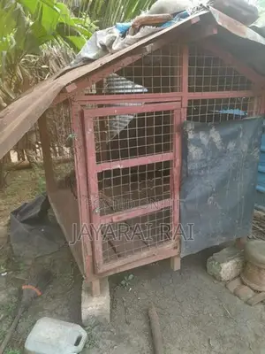 Dog Cage