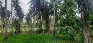 Land for Sale in Kuliyapitiya