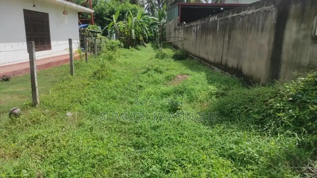 කඩවතින් වාණිජමය වටිනාකමින් යුතු හිස් ඉඩමක් කුලියට දීමට ඇත