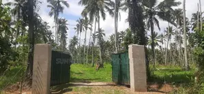 Land for Sale in Kuliyapitiya