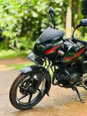 Bajaj Pulsar 150 2008