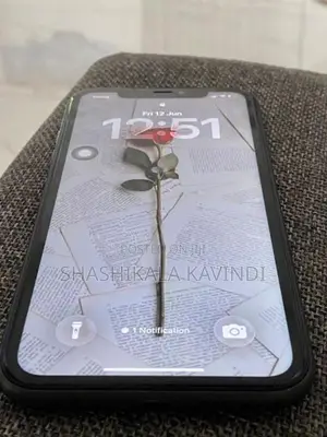 Apple iPhone 11 (Used)