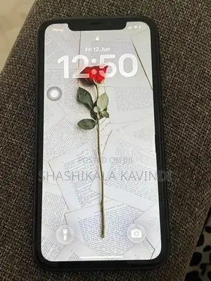 Apple iPhone 11 (Used)