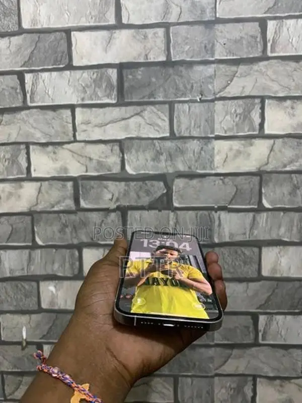 Apple iPhone 13 Pro Max (Used)