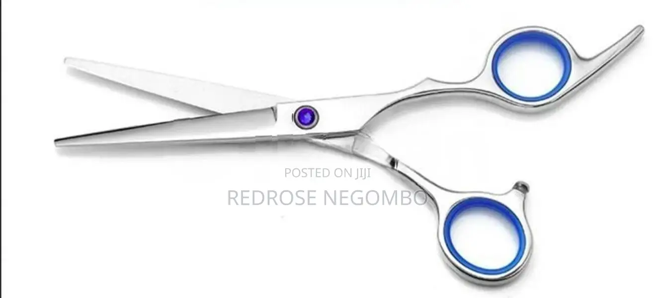 Professional Hair Cutting Scissors
