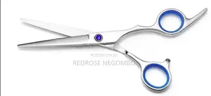 Professional Hair Cutting Scissors