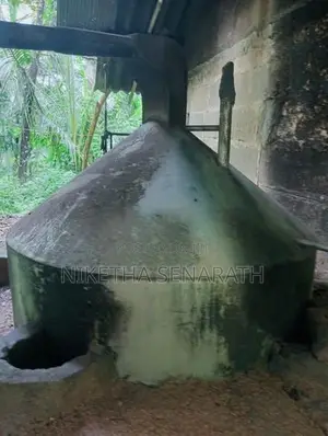 කුරුදු තෙල් නිස්සාරණ බොයිලේරුවක්