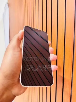 Apple iPhone 13 (Used)