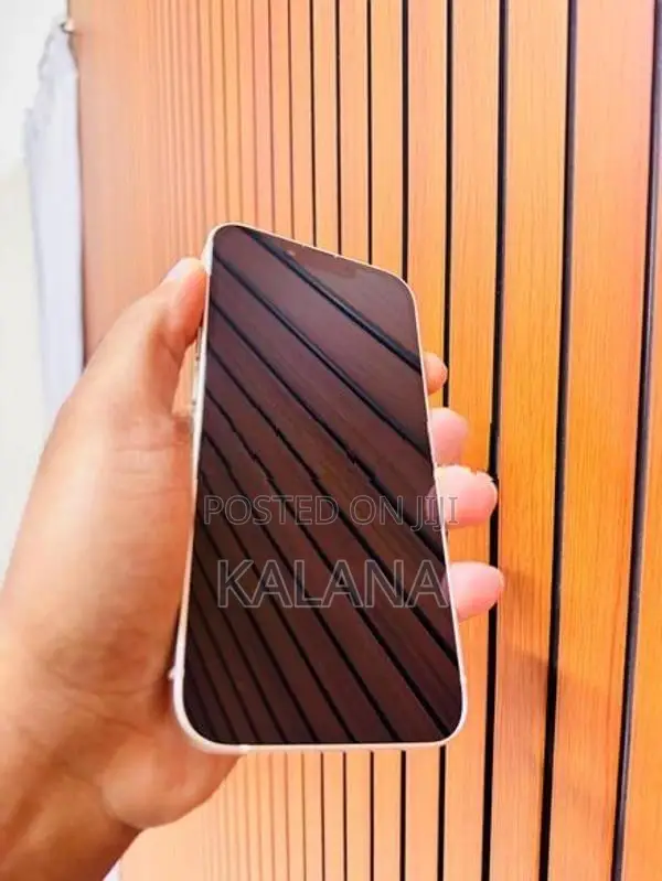 Apple iPhone 13 (Used)