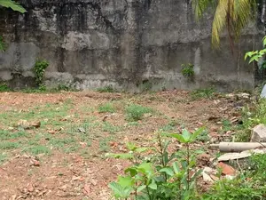 Prime Land for Sale in Pamankada