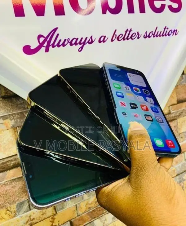 Apple iPhone 13 Pro Max 128GB (Used)