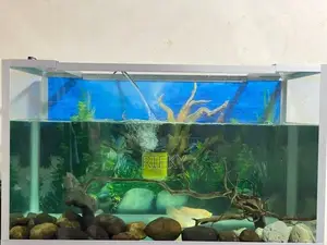 Fish Tank
