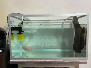 Fish Tank