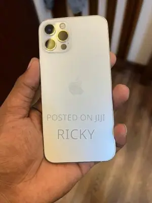 Apple iPhone 12 Pro 256gb (Used)