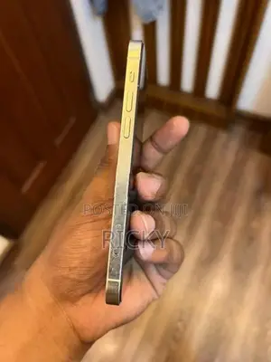 Apple iPhone 12 Pro 256gb (Used)