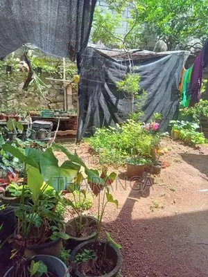 House for Sale in Galvihara Road Dehiwala