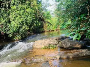 මාවක් ඔයට මූනලා අගනා බිම්කොටස් ඉංගිරිය