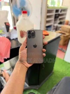 Apple iPhone 13 Pro Max (Used)