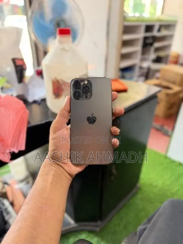 Apple iPhone 13 Pro Max (Used)