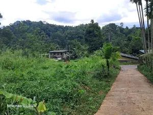 Kandy | Halloluwa Two Land Blocks for Sale