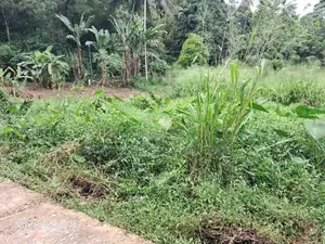 Kandy | Halloluwa Two Land Blocks for Sale