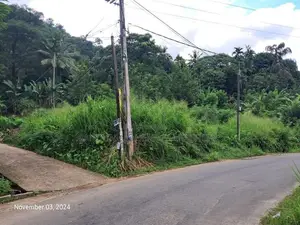 Kandy | Halloluwa Two Land Blocks for Sale