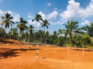 Land for Sale in Pasyala Y37