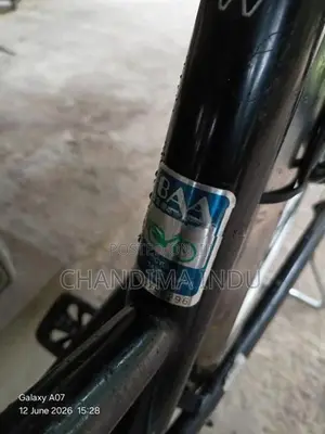 Japan Ladies Bicycle