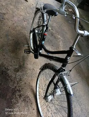 Japan Ladies Bicycle