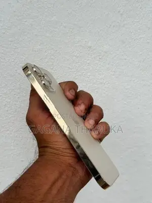 Apple iPhone 13 Pro Max (Used)