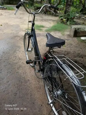 Japan Ladies Bicycle