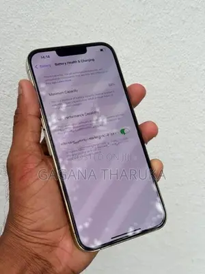 Apple iPhone 13 Pro Max (Used)