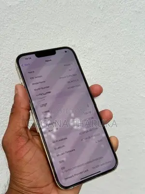 Apple iPhone 13 Pro Max (Used)
