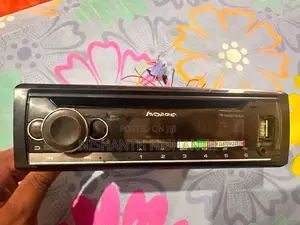 Pioneer Audio System