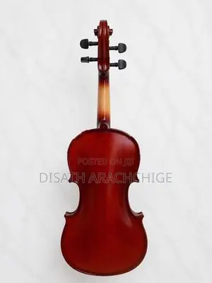 Violin