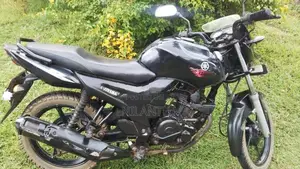 Yamaha SZR 2010