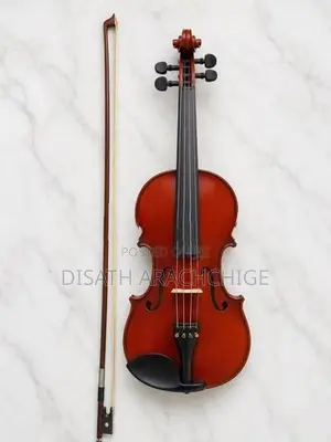 Violin
