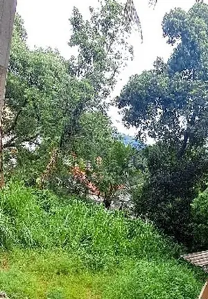 මහනුවර පර්චස් 20 ක් ඉඩමක්| Peradeniya