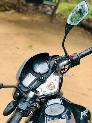 TVS Apache RTR 160 2010
