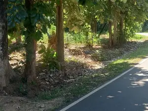 Land For Sale - Pelwattha