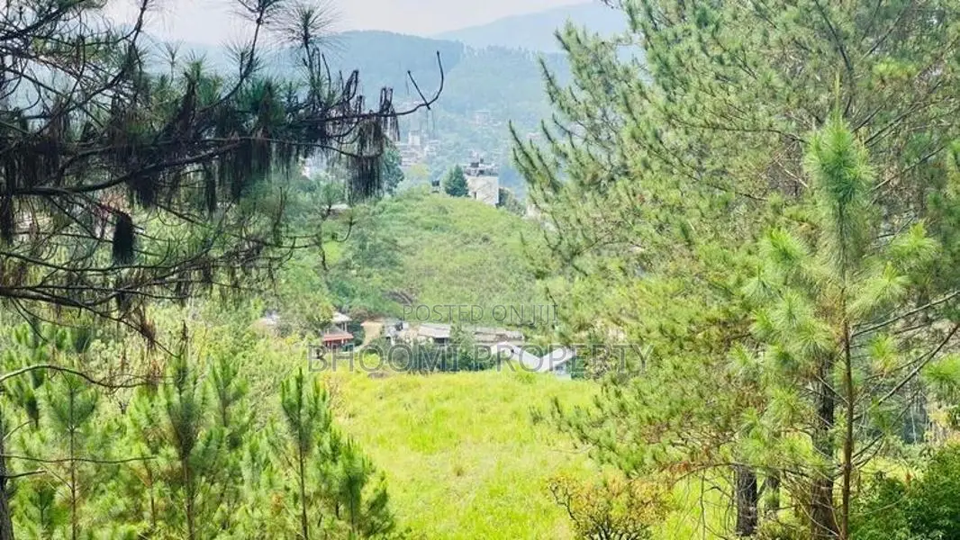 ඇල්ල නගරයෙන් බිම්කොටස්